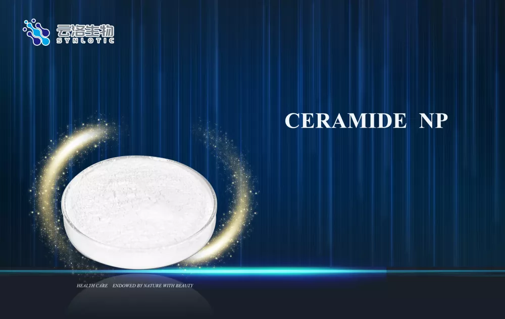 Nola onartzen du Ceramide NP-k larruazaleko hesiaren zainketa kosmetika modernoetan?