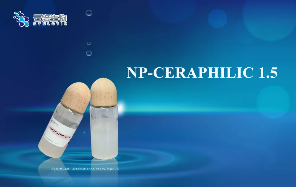 NP-CeraAfilikoa 1.5